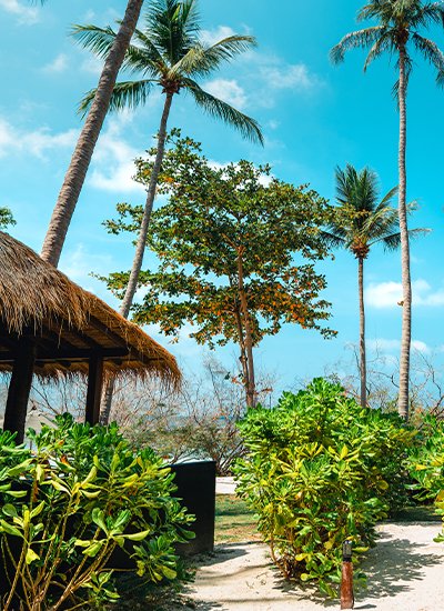 Andaman Bliss Retreat